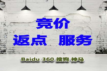 SEM竞价实战：成功案例解析